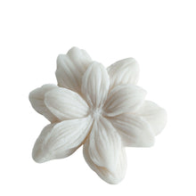 Lade das Bild in den Galerie-Viewer, Box of 4 Jasmine Melting Decorations in Scented Wax - Sublime Jasmin.
